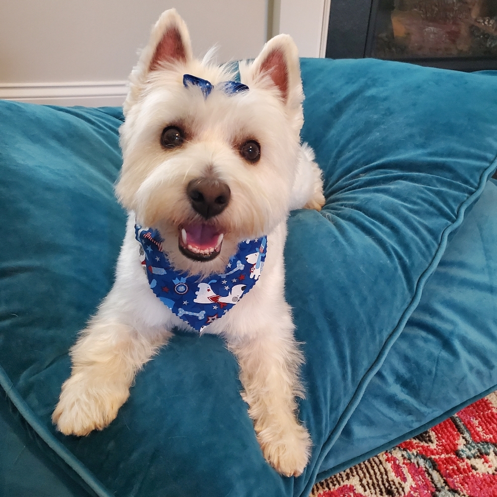 Meet your Posher, Alana